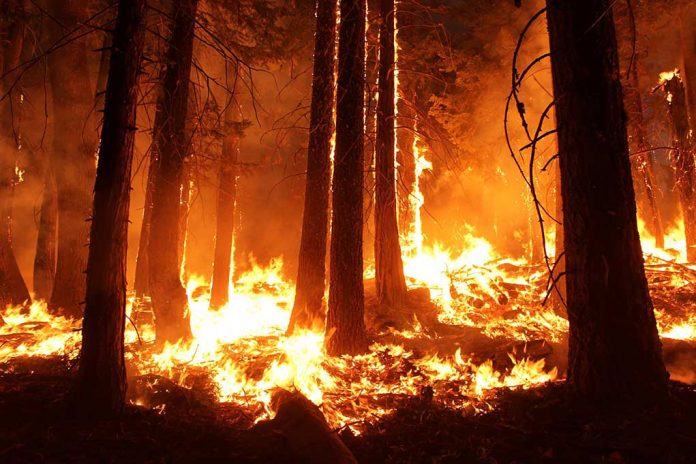 Massive Wildfire Continues to Spread Nearing State's Border