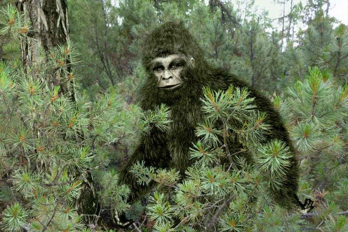 Australian Bigfoot Supposedly Spotted in Tiny Australian Town