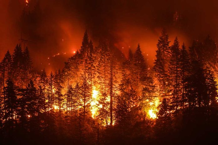 Depart of Energy Says Wildfires Causing Extreme Weather in Other States