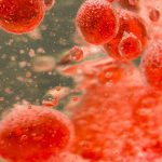 First-Ever Transfusion of Lab-Grown Blood Cells Is a Success