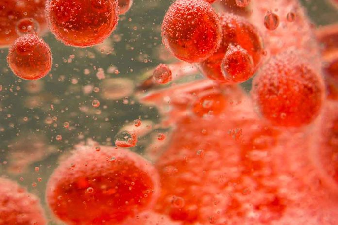 First-Ever Transfusion of Lab-Grown Blood Cells Is a Success