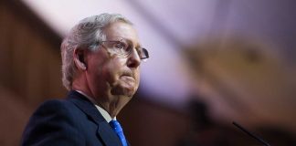 GOP Critic Calls Out McConnell for Perceived Lack of Backbone