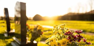 Sunlit cemetery with flowers on headstone.