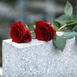 Red roses on a gray stone surface.