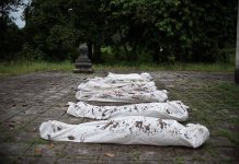 Five wrapped bodies on ground surrounded by trees.