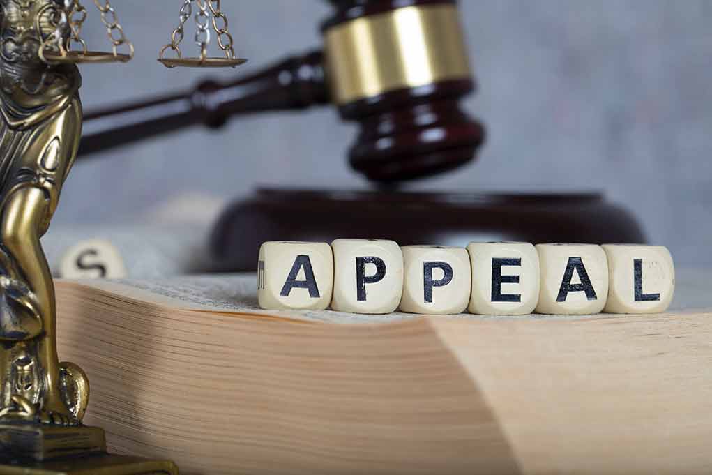 Blocks spelling appeal with gavel and balance scales.