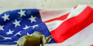 Elephant figurine on an American flag background