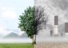 Tree dividing green nature and industrial pollution scene