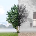 Tree dividing green nature and industrial pollution scene