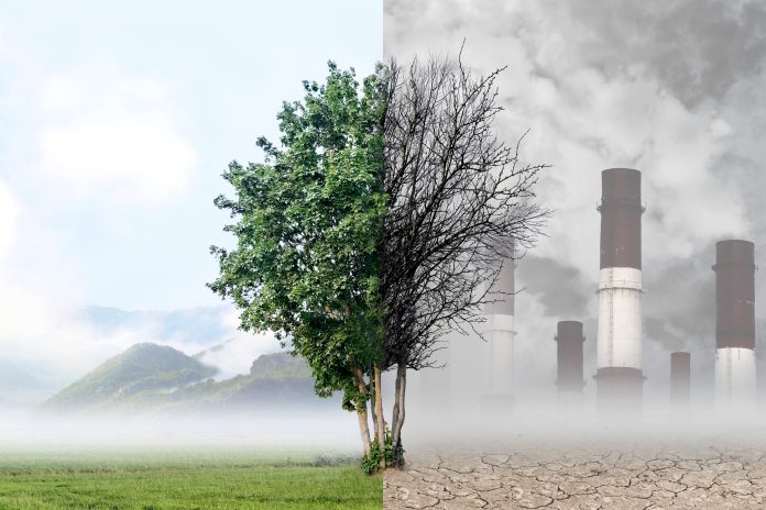 Tree dividing green nature and industrial pollution scene