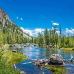Mountain river landscape with trees and clear blue sky
