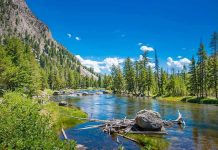Mountain river landscape with trees and clear blue sky