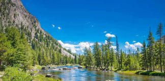 Mountain river landscape with trees and clear blue sky