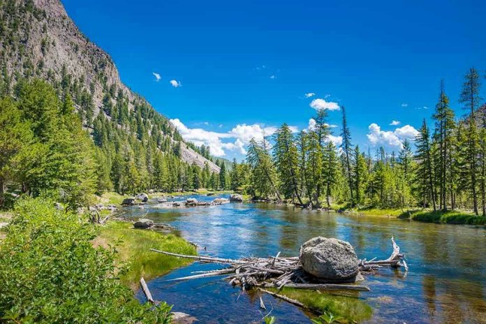 757255732 Mountain river landscape with trees and clear blue sky