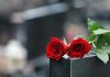 Two red roses on a gravestone