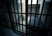 Interior view of a prison cell with a bed and metal bars