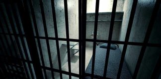 Interior view of a prison cell with a bed and metal bars