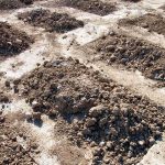 Mounds of dirt arranged in rows on a construction site