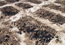 Mounds of dirt arranged in rows on a construction site
