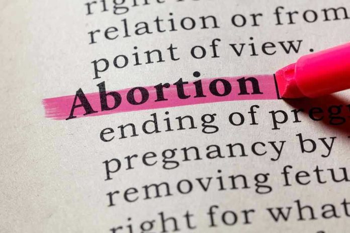 1140499358 Abortion highlighted in a dictionary with a pink marker