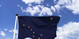 Alaska state flag flying against a blue sky