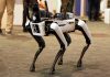 China’s Robo-Dog Raises US Security Alarms Robotic dog standing on indoor carpeted floor