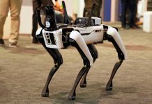 China’s Robo-Dog Raises US Security Alarms Robotic dog standing on indoor carpeted floor