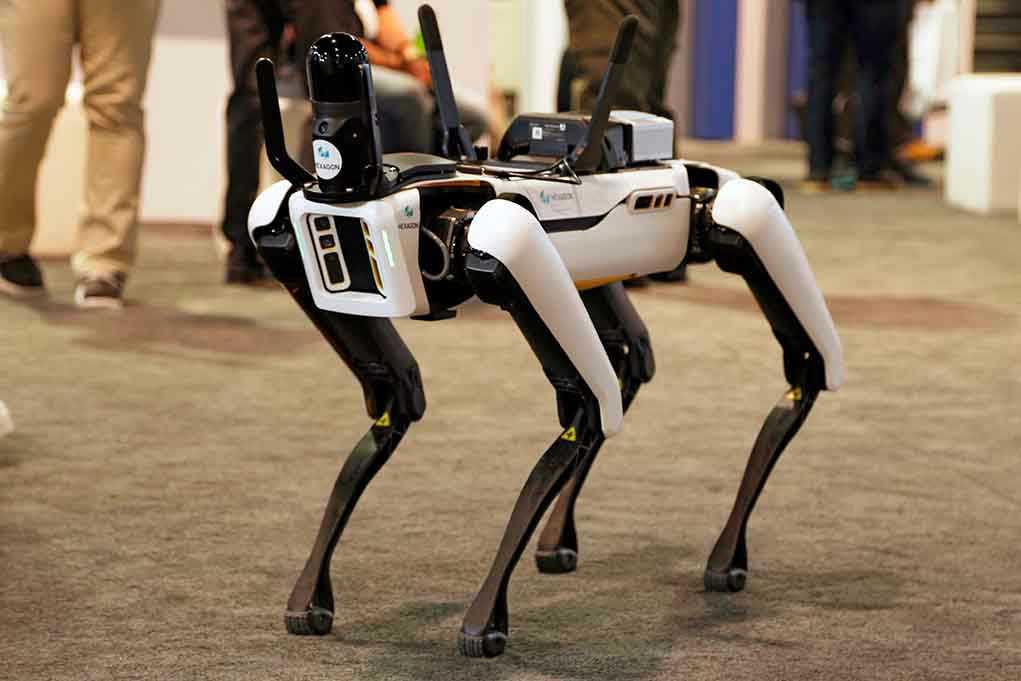 Robotic dog standing on indoor carpeted floor
