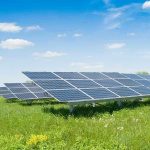 Solar panels in a grassy field under blue sky.