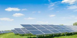 Solar panels in a grassy field under blue sky.