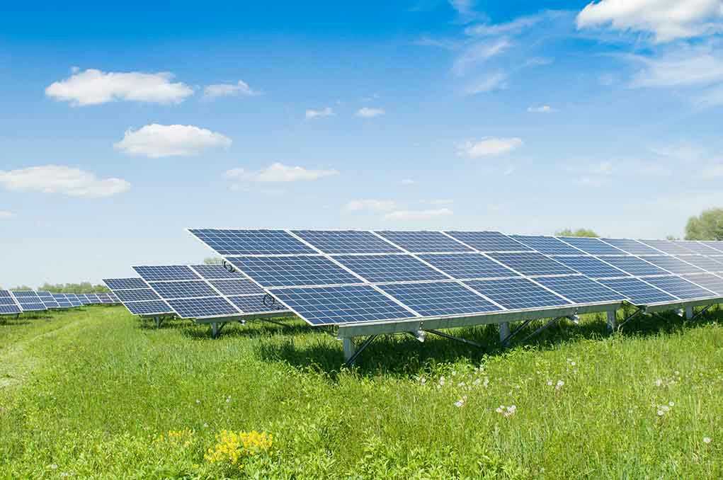 Solar panels in a grassy field under blue sky.