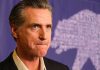 Newsom’s SHOCKING Biden Confession Rocks Democrats Man in suit solemn expression purple background with bear drawing