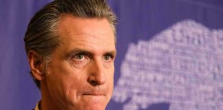 Man in suit solemn expression purple background with bear drawing