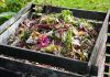 Composting Humans? 14 States Say Yes! A compost pile filled with various organic materials and flowers