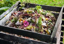 Composting Humans? 14 States Say Yes! A compost pile filled with various organic materials and flowers