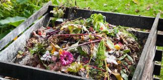 A compost pile filled with various organic materials and flowers