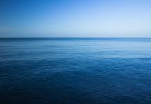 Cruise Ship Death: FBI Eyes Family Secrets A calm ocean under a clear blue sky