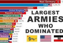 Largest Armies in History (1825-2025) | 200 Years of War