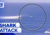 Great White STRIKES — Surfer Launched Airborne Surfer bitten by great white shark in Perth | 9 News Australia
