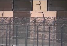 No-Bond Detentions Ignite Courtroom War No-Bond Detentions Ignite Courtroom War