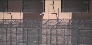 No-Bond Detentions Ignite Courtroom War