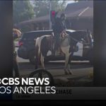 DUI Charge on Horse Stuns Kentucky