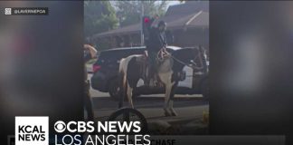 DUI Charge on Horse Stuns Kentucky