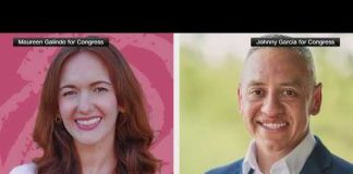 House Democrats condemn Maureen Galindo over antisemitic remarks in Texas House race