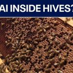 Robot Hives: Florida’s Secret Food Guardian AI beehives deployed in Pasco County to protect local food supply