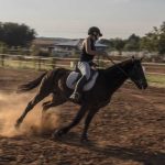 3 Horses Stabbed at Las Vegas Horse Show — Teen Arrested Teenage girl charged in stabbing of horses at Las Vegas barrel racing event