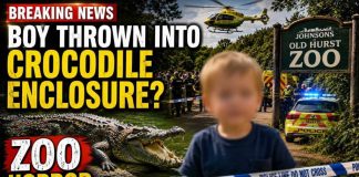 Toddler Seriously Injured in Crocodile Enclosure Incident at Johnsons of Old Hurst Zoo