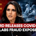 COVID Origins Bombshell: Tulsi Gabbard Claims Biden Aide Fauci 'Funded' Wuhan Lab Research In China