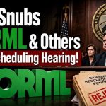Outrage Erupts: One-Sided DEA Show DEA Snubs NORML & Others at Rescheduling Hearing! Morgan Fox Political Director 1v1 Special