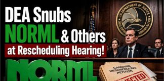 DEA Snubs NORML & Others at Rescheduling Hearing! Morgan Fox Political Director 1v1 Special